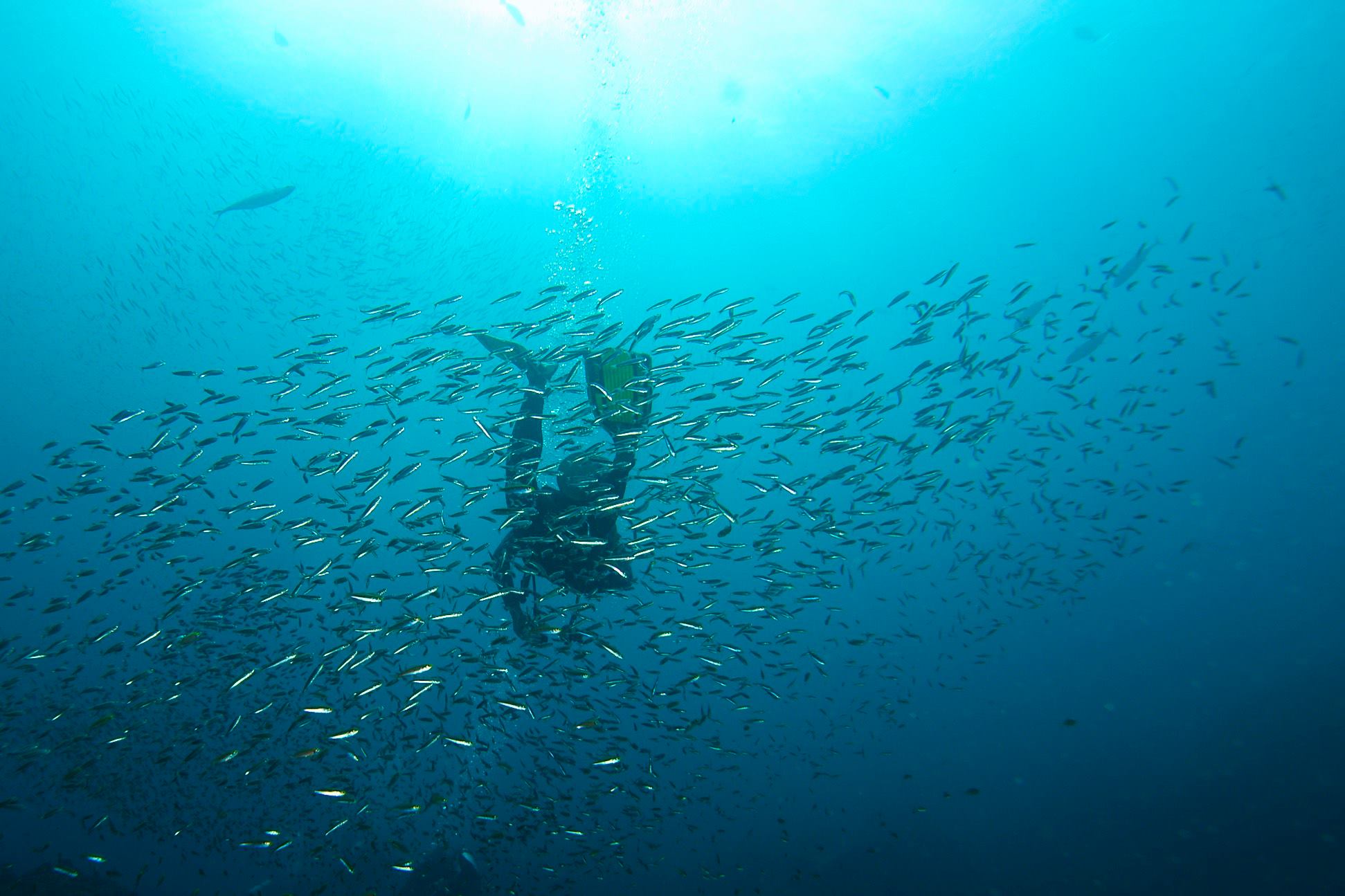 18359276_10154545519370994_2698515657035990041_o 18359276_10154545519370994_2698515657035990041_o