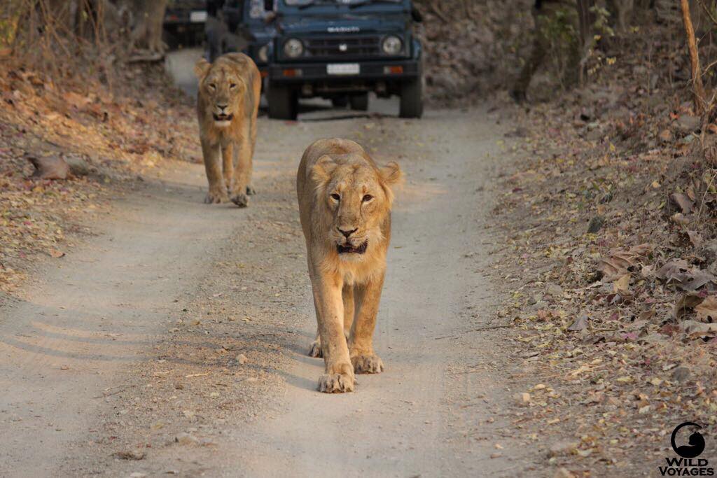 28951960_1685212801537744_750725786163478528_o 28951960_1685212801537744_750725786163478528_o