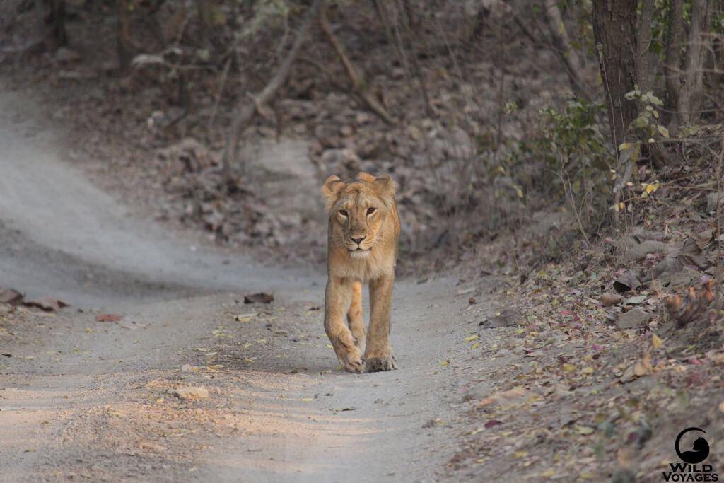 28959033_1685212808204410_8495372601986646016_o 28959033_1685212808204410_8495372601986646016_o