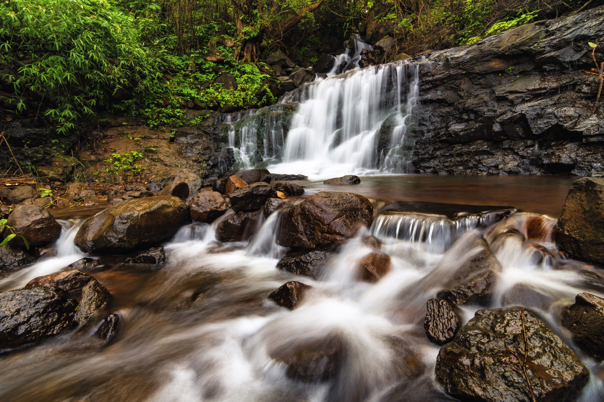 29040717518_522c435d97_o