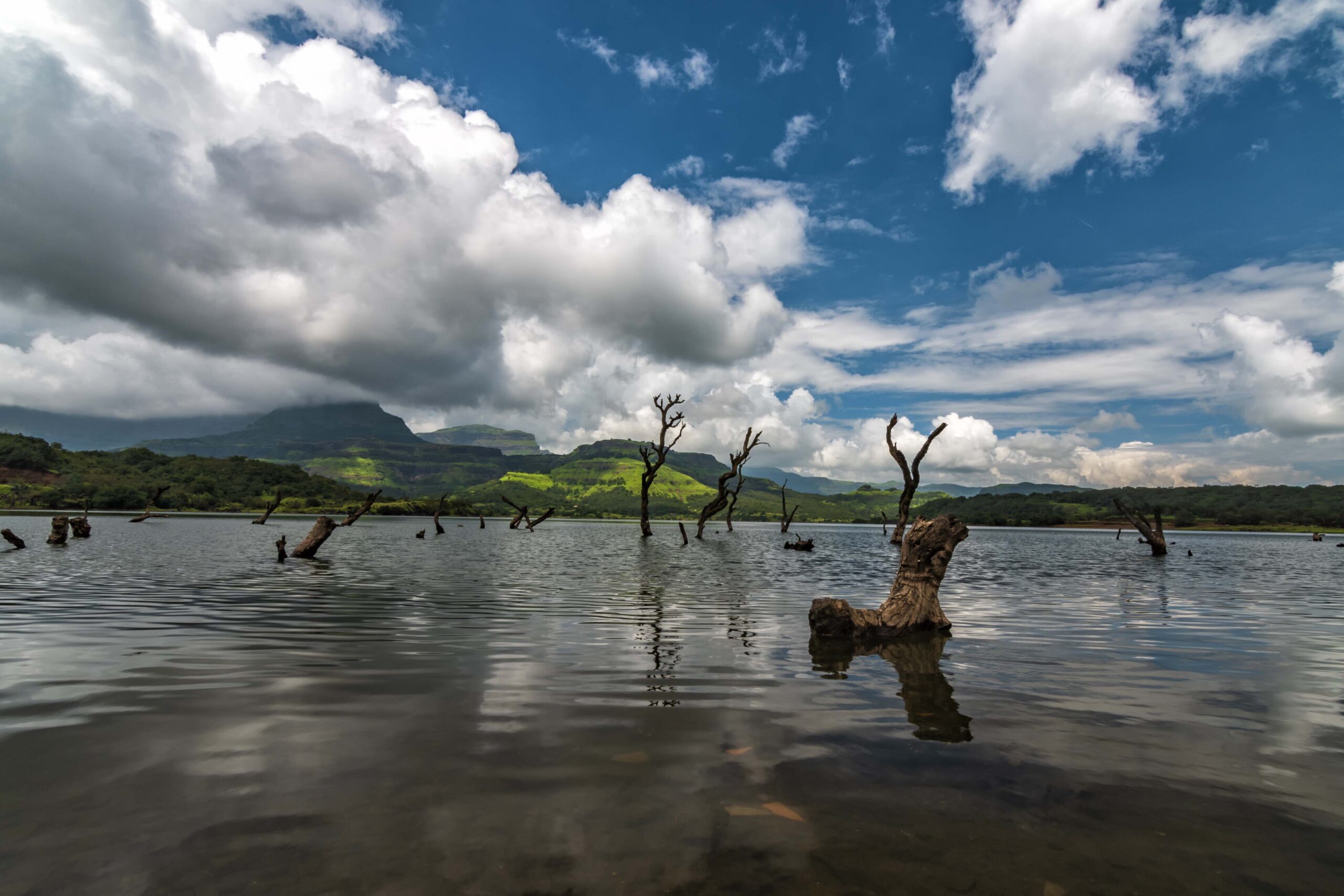 49861962116_f2d32692ab_o 49861962116_f2d32692ab_o