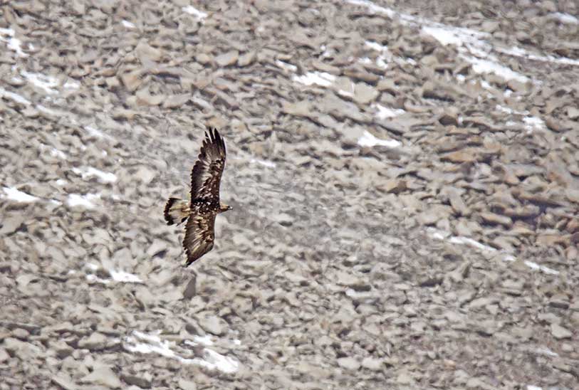 IMG_3519 IMG_3519