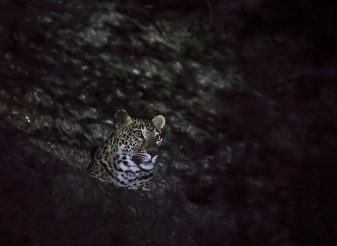 IMG_6053-2 IMG_6053-2