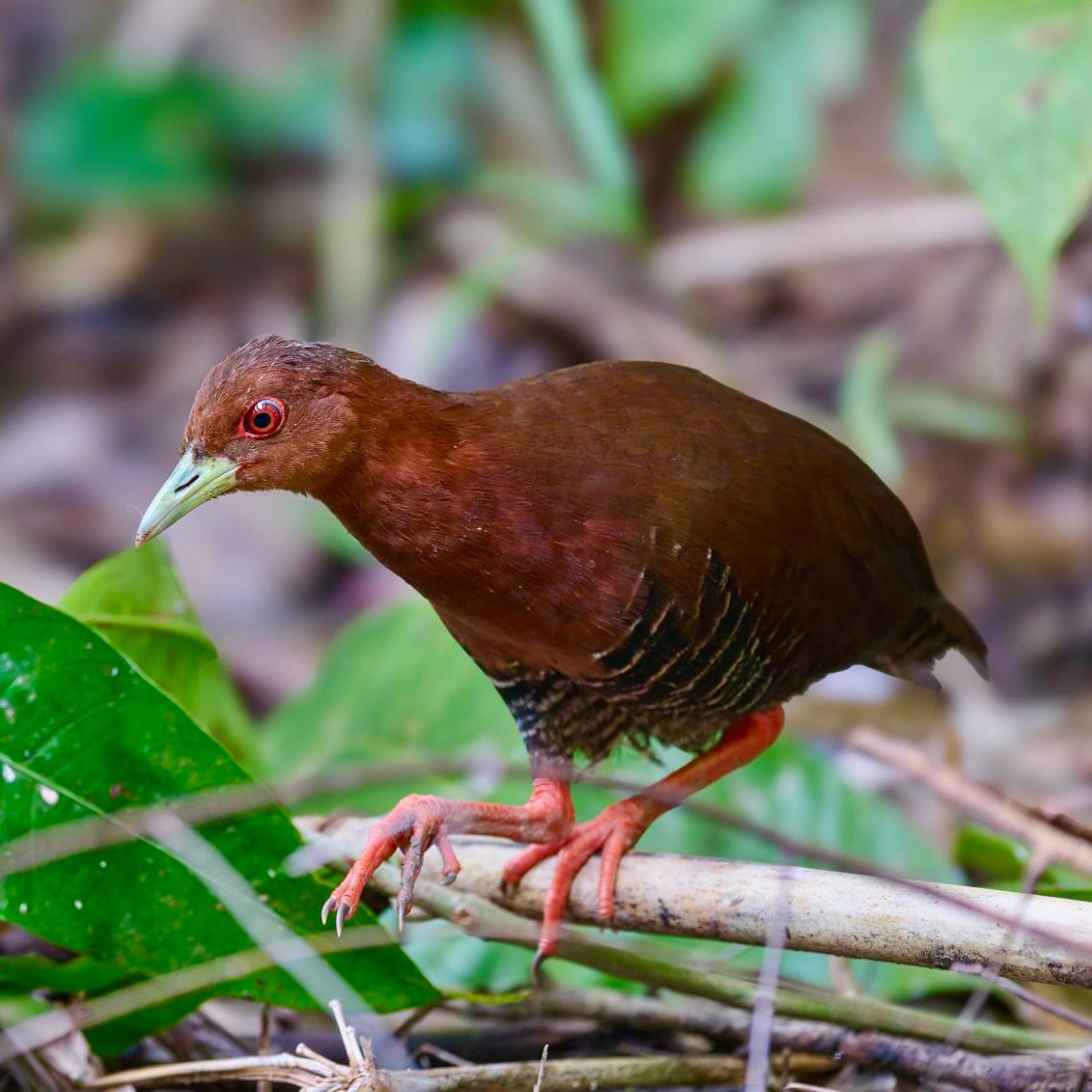 WhatsApp Image 2025-12-05 at 11.10.14 AM (1)